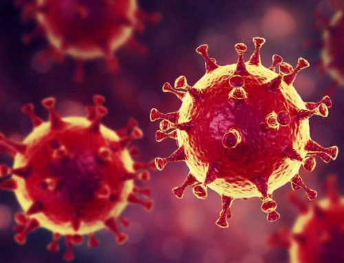 Coronavirus – Womankind statement – latest update