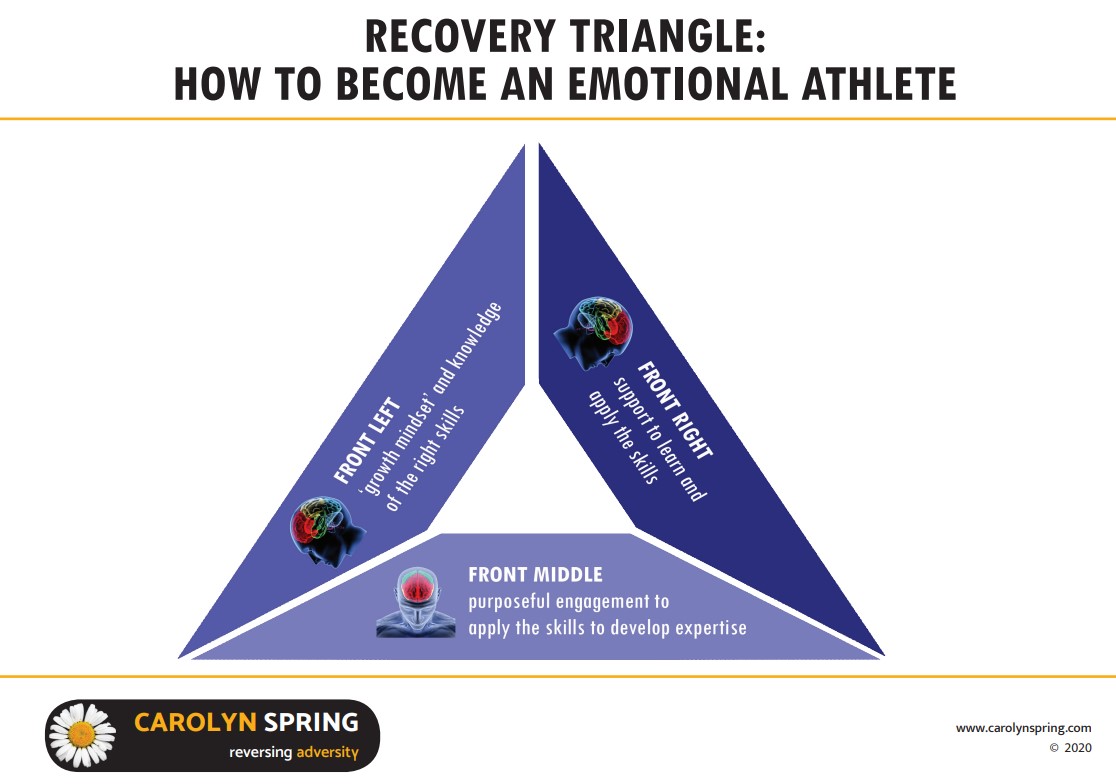 Recovery Triangle Carolyn Spring