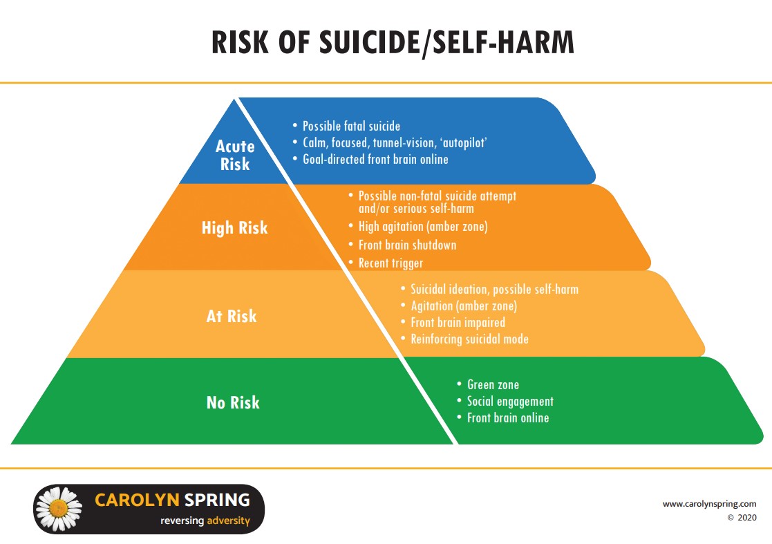 Risk of suicide and self harm Carolyn Spring