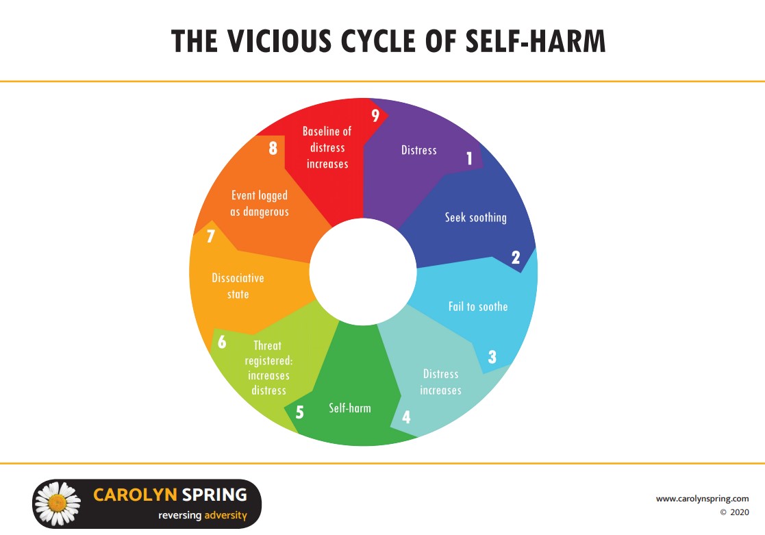 The Vicious Cycle of Self Harm Carolyn Spring