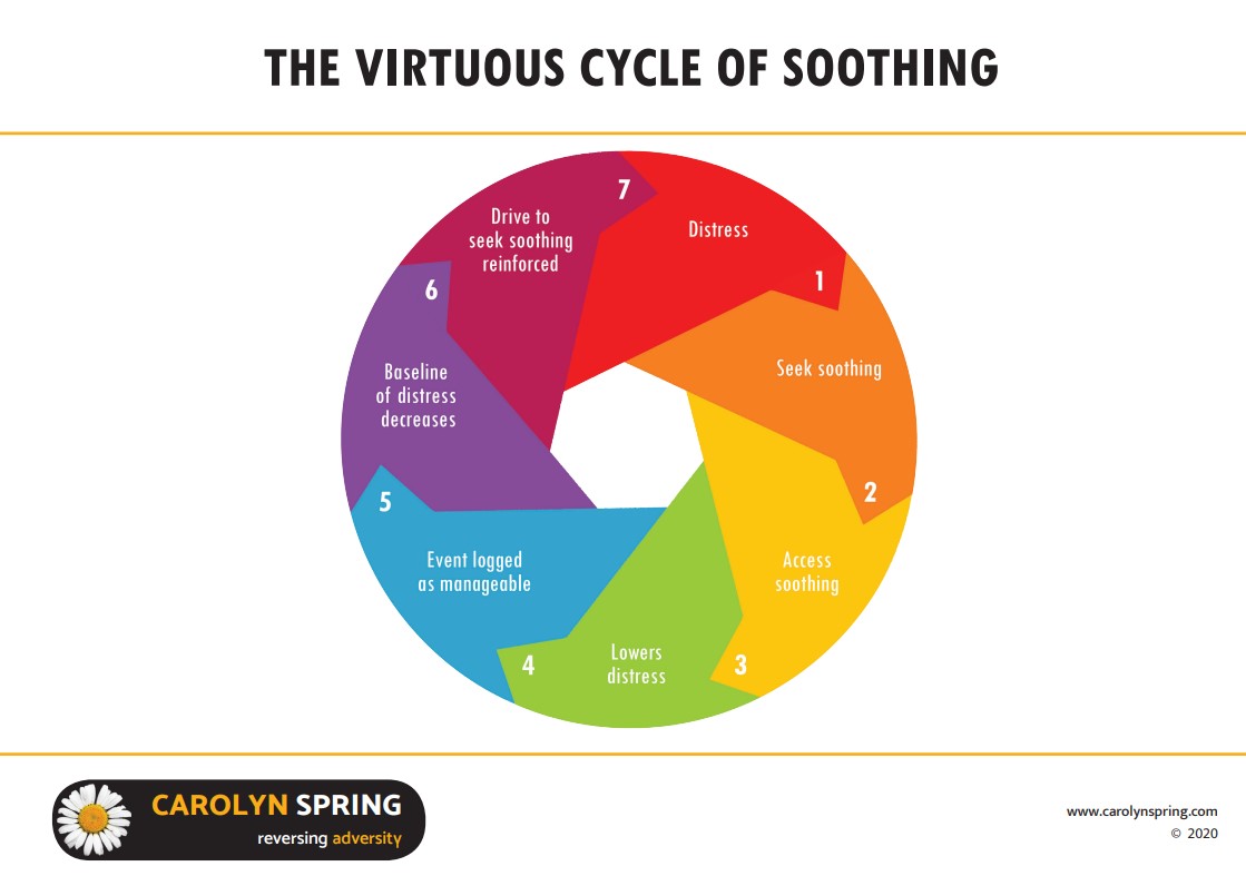 The virtuous cycle of self soothing Carolyn Spring